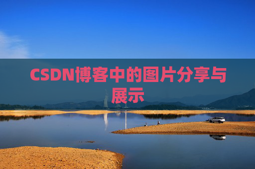 CSDN博客中的图片分享与展示